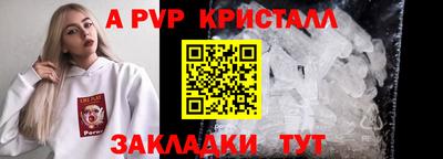 спиды Кингисепп