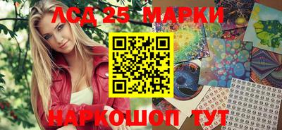 спиды Кингисепп