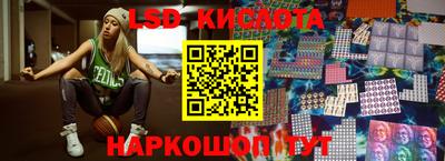 шишки Кимры