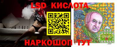 шишки Кимры