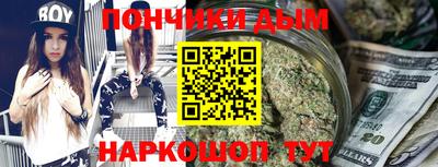 шишки Кимры