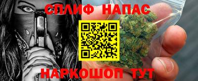шишки Кимры