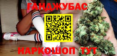 шишки Кимры