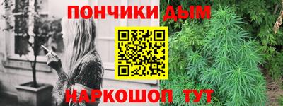 спиды Кингисепп