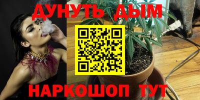 спиды Кингисепп