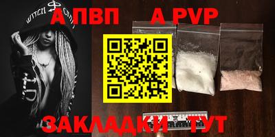 спиды Кингисепп