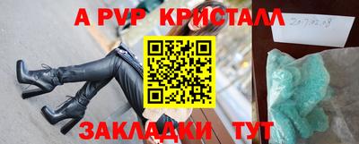 шишки Кимры