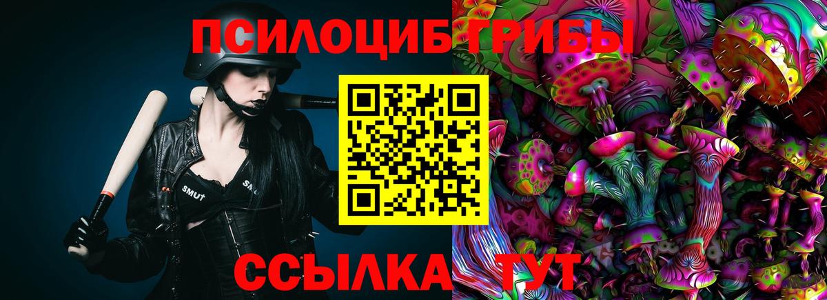 Галлюциногенные грибы Magic Shrooms Котлас